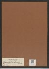 Odontella obtusa Kuetz. (de-Toni-Nr.: Genus 122, Species 3434) Zeichnungen Sammlung Grunow Mappe 03640 (Herbarium_W_Grunow_drawings_Folder_03640)